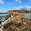 Visit NYC’s Oldest Organism, Clean Up the Jamaica Bay Shoreline And Other Anti-Consumerist Black Friday Ideas